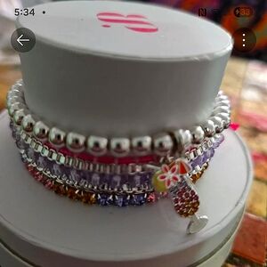 Elegant Silver and Multicolor Charm Bracelet Set